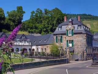 Weingut Schloss Lieser