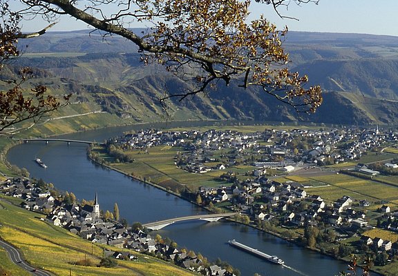 Moselweinberge bei Piesport