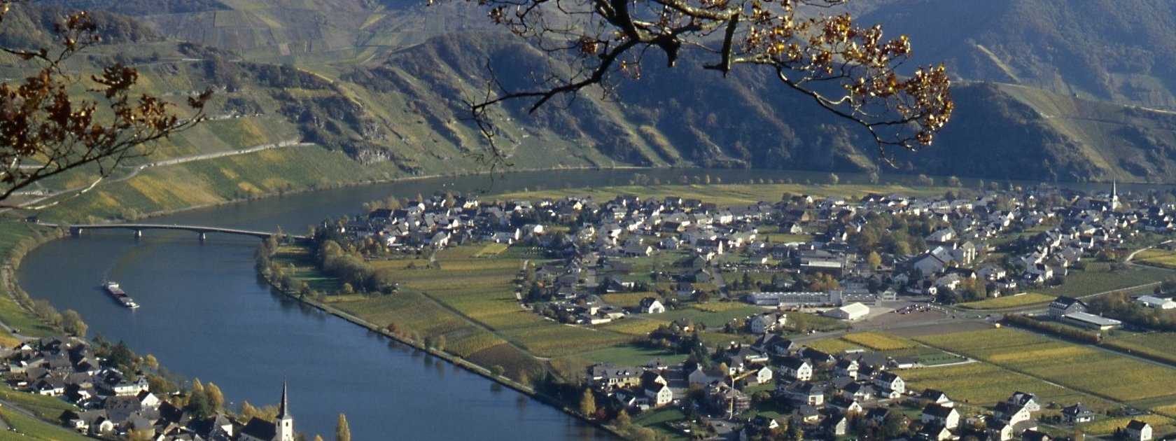 Moselweinberge bei Piesport