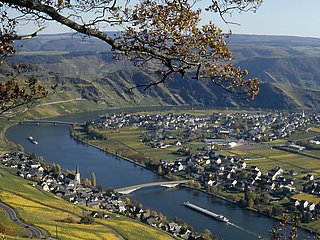 Moselweinberge bei Piesport