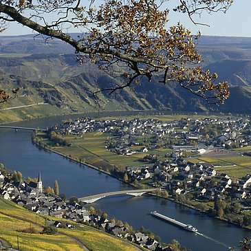 Moselweinberge bei Piesport