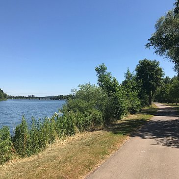 Auf dem Mosel-Radweg vor Konz