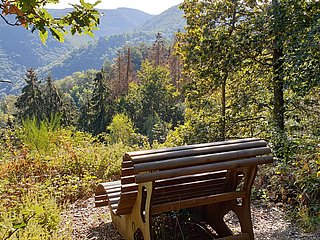 Natur pur - Rast inmitten der Wälder