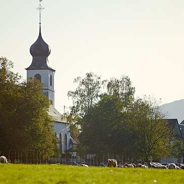 Blick auf Filzen
