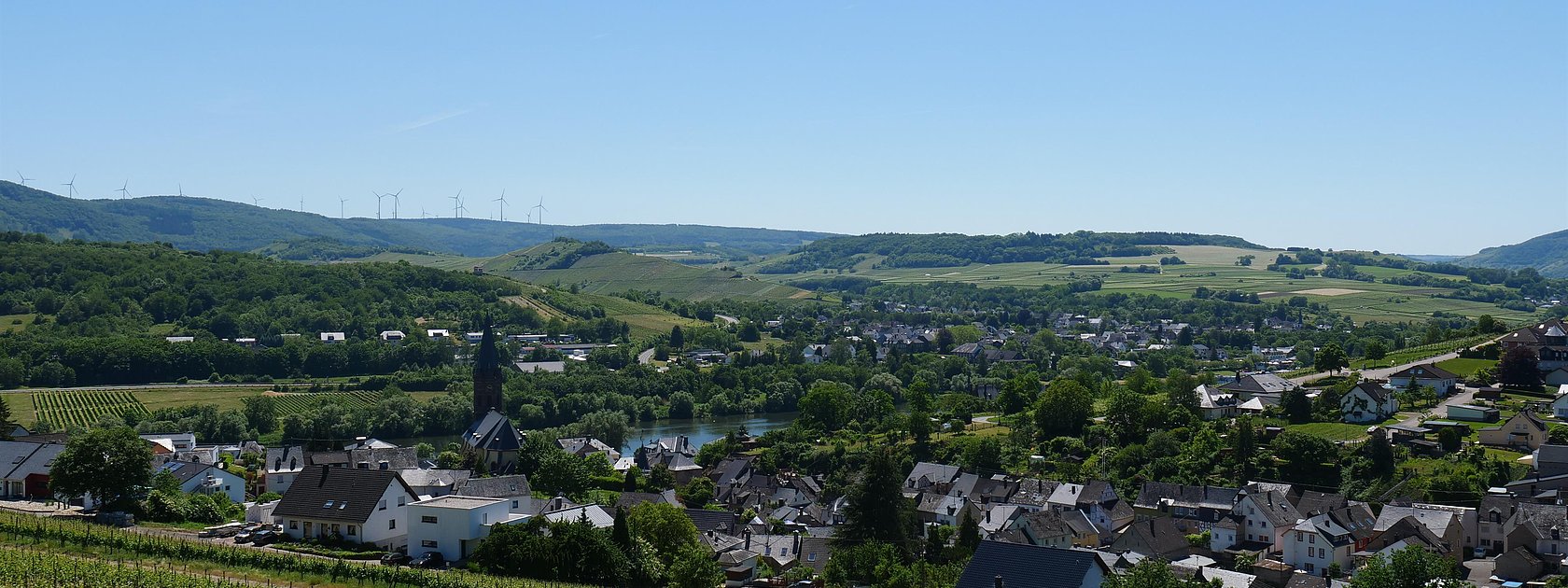 Weinberge mit Blick auf Lieser