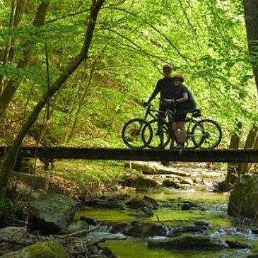 Mountainbike-Tour im Wald