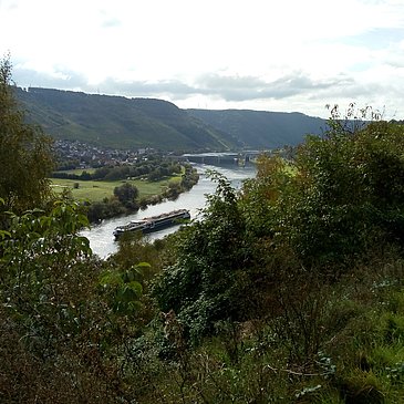 Im Hintergrund die Moselstaustufe Wintrich