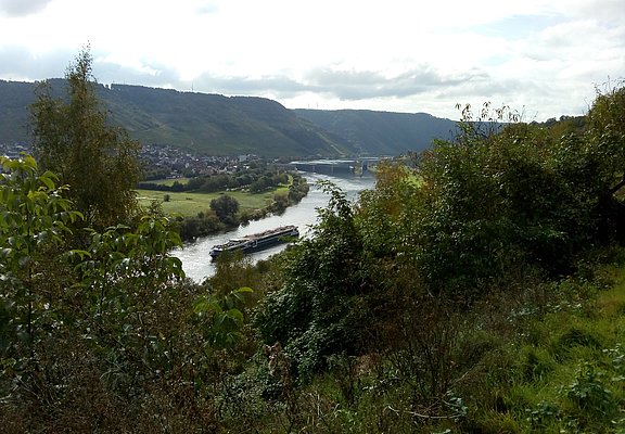 Im Hintergrund die Moselstaustufe Wintrich