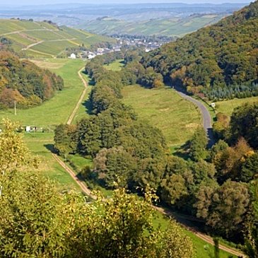 Blick ins Frohnbachtal