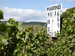 Sonnenuhr im Weinort Maring-Noviand