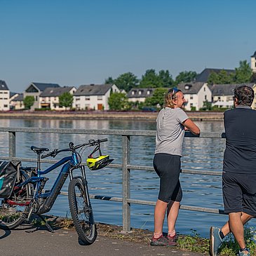 Mosel-Radweg in Mehring