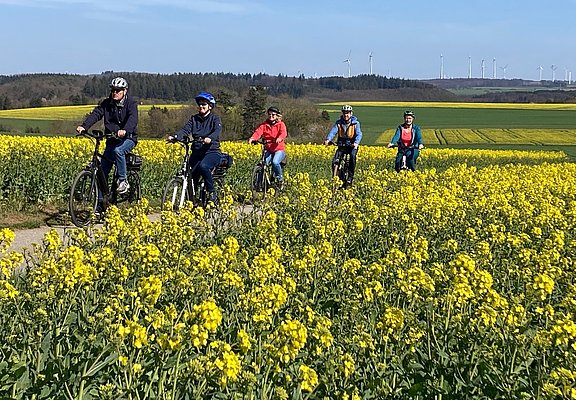 Radlen durch Rapsfelder