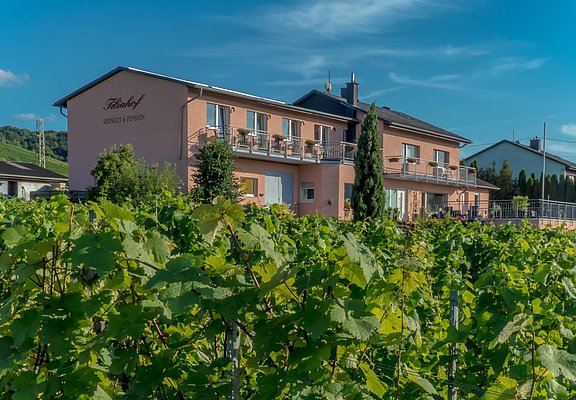 Haus im Weinberg