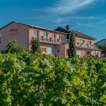 Haus im Weinberg