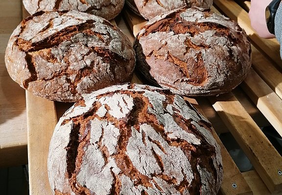 Frisches Brot