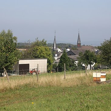 Mountainbiken im Hunsrück: Gornhausen