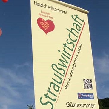 Fahne vor dem Haus