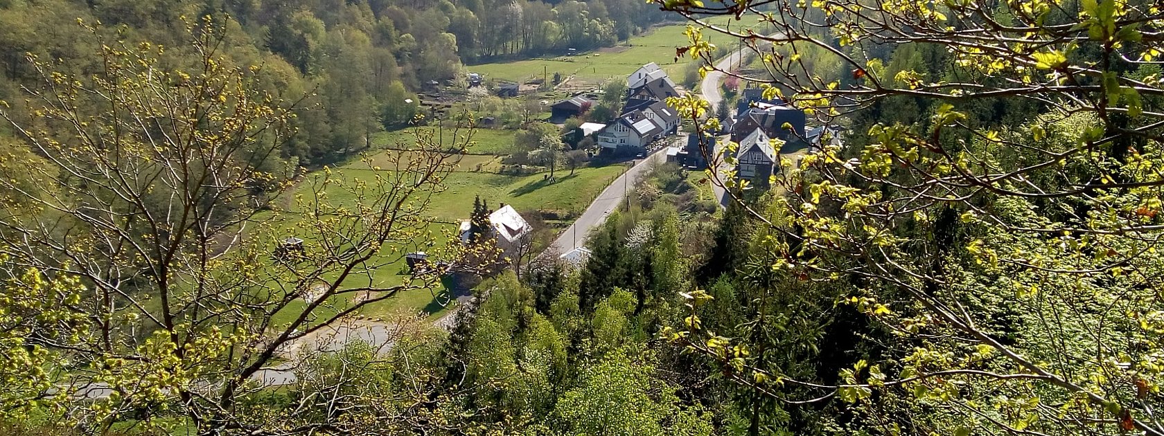 Hirzlei