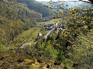 Hirzlei