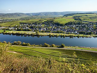 Blcik auf Brauneberg an der Mosel