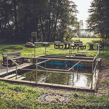 Wassertretbecken