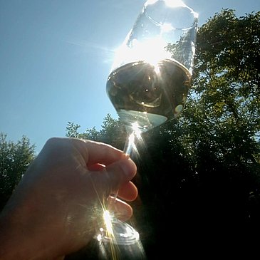 Weinglas im Sonnenschein