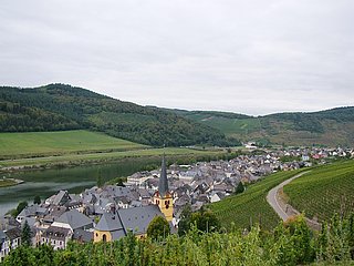 Zeltingen Panorama