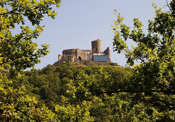 Landshut Castle