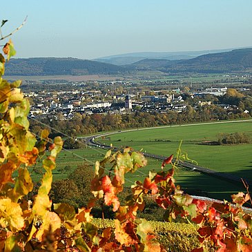Weinberge bei Wittlich
