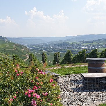Ruheinsel bei Monzel mit herrlicher Aussicht