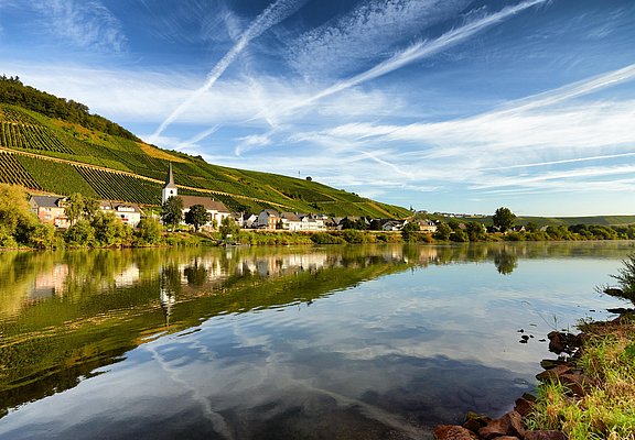 Kesten an der Mosel