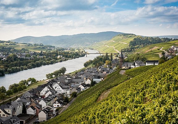 Weinort Lieser