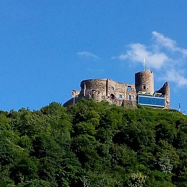 Burg Landshut
