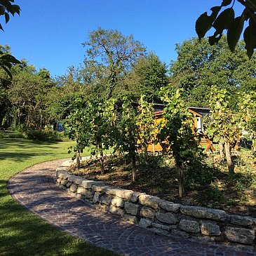 Garten4