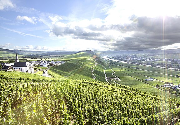 Aussicht