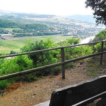 Blick vom Kueser Plateau auf Mülheim an der Mosel